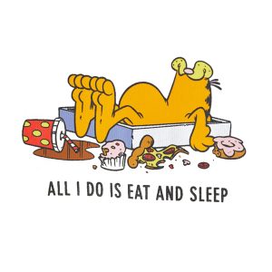 All I Do is Eat and Sleep Garfield T-shirt 2